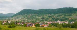 20. Semiška ohcet 8